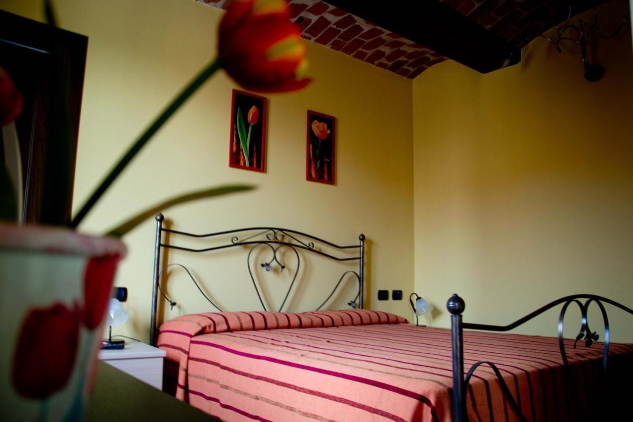 Agriturismo Monbertola โกโวเน ภายนอก รูปภาพ