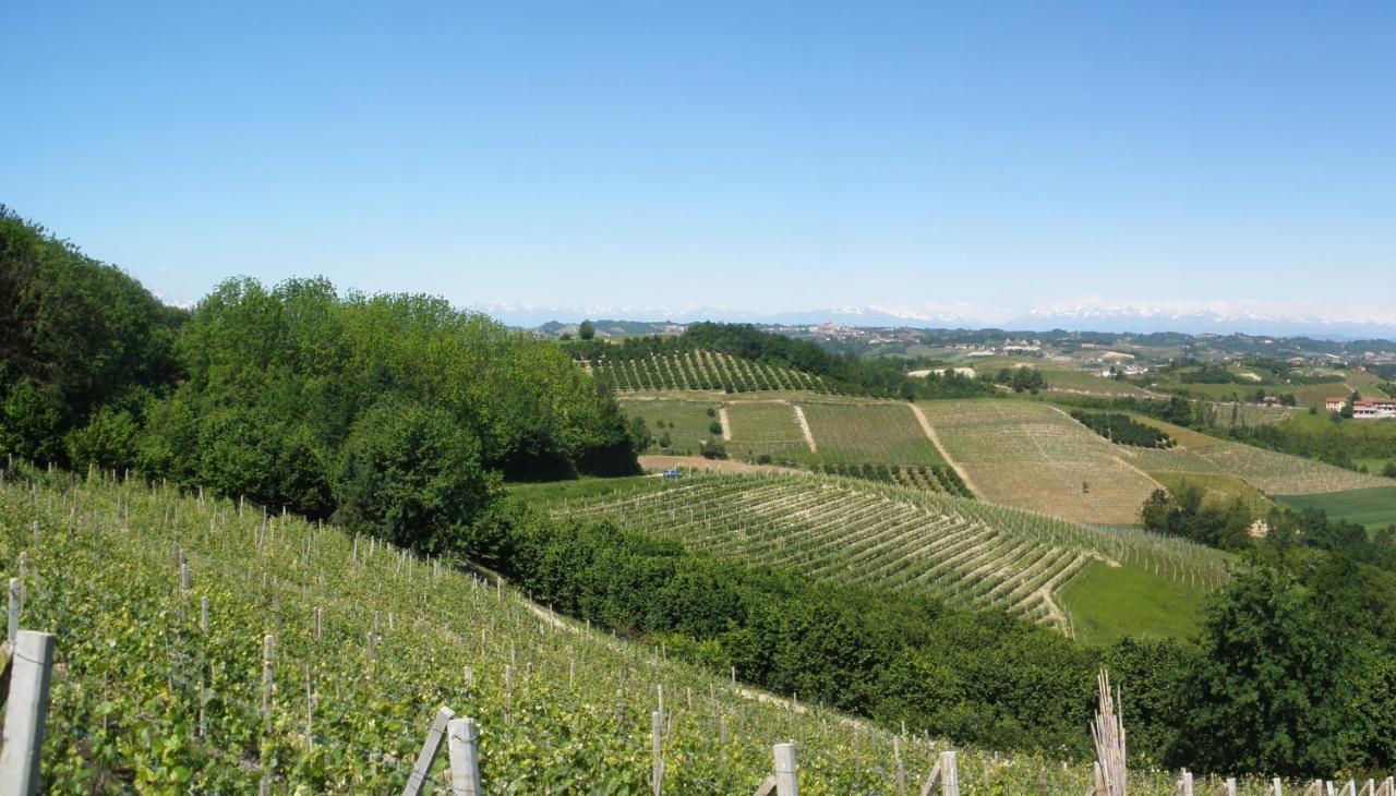 Agriturismo Monbertola โกโวเน ภายนอก รูปภาพ